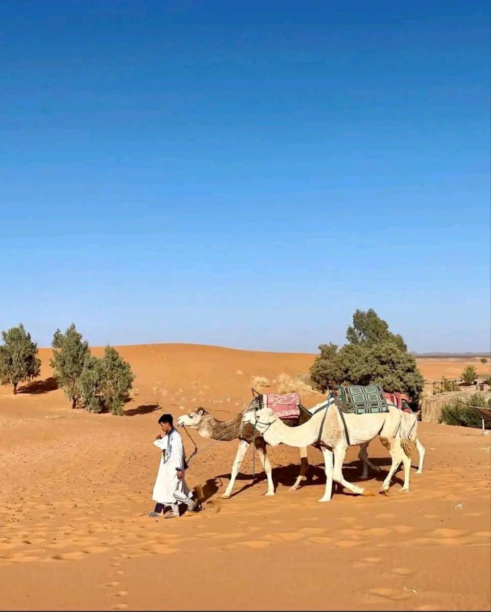 Tikida Camp By Tinfou Hotel Zagora Ngoại thất bức ảnh